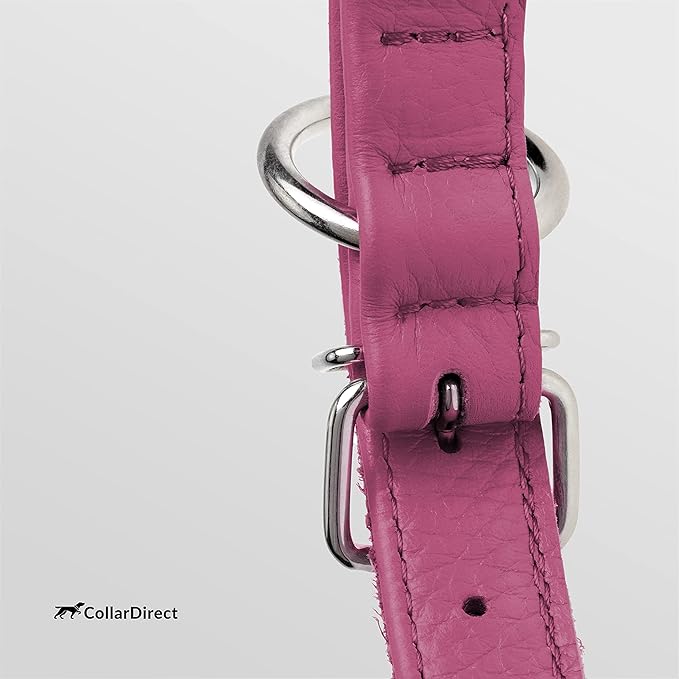 CollarDirect Rolled Leather Dog Collar, Soft Padded Round Puppy Collar, Handmade Genuine Leather Collar Dog Small Large Cat Collars 13 Colors (11-14 Inch, Pink Textured)