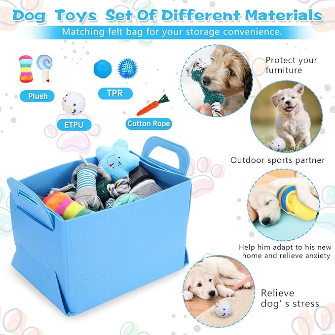 65 Pcs Puppy Supplies Starter Kit Small Dog Essentials Includes Dog Leash, Toys, Bowl, Brushes, Water Bottles, pet Blankets Puppy Accessories for New Welcome Gift Supplies(Cool,Blue)