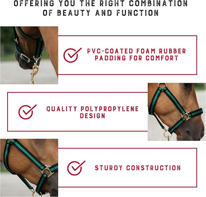 Weaver Equine Breakaway Horse Halter, Comfort Foam Padding, Adjustable Chin & Throat Snap Halters for Horses, Equine Tack,Average Size, Green