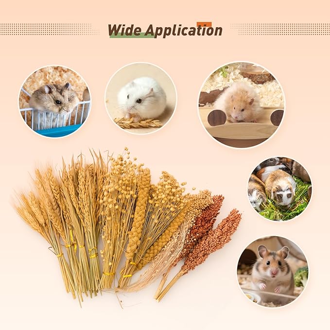 ZIPPYPET Hamster Sprays and Forage Accessories for Cages, Pet Mouse Decor Textures (7)