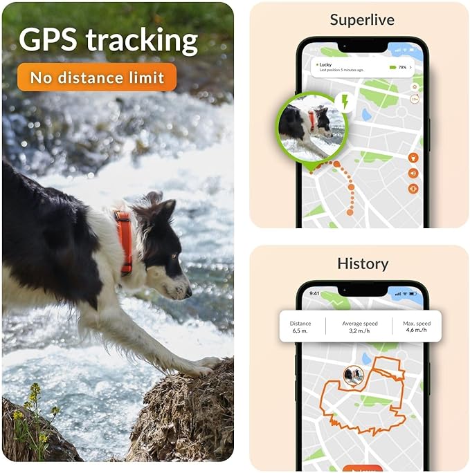Weenect Dog XT - New GPS Collar for Dogs | XL Antenna | Waterproof | Ultra-Durable Integrated Julius-K9 Collar | Subscription Required