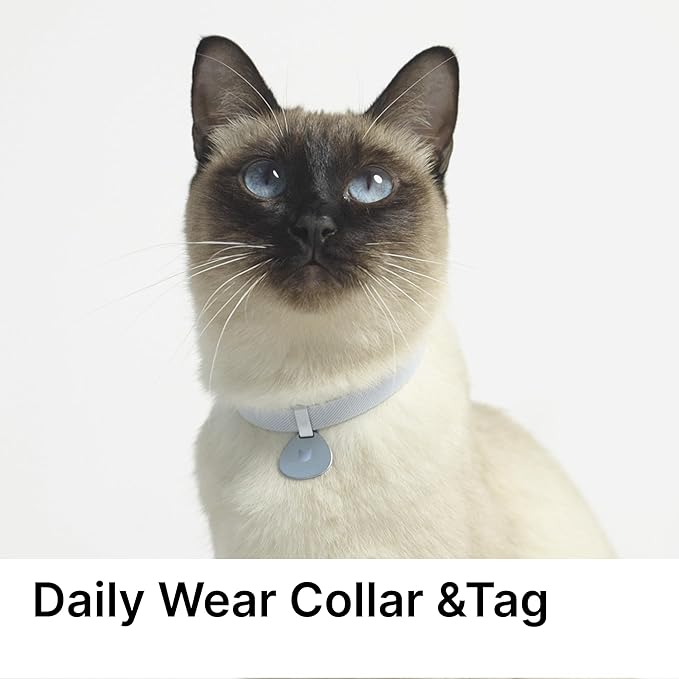 Safety Cat Collar and ID Tag Set - Elastic Quick Release, Non Breakaway Cat Collar Personalized Anodized Aluminum Engraved Pet Name Tag, Lightweight for Kitten Small Large Cat