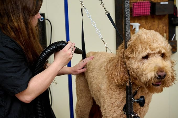 METROVAC MB-3V Air Force Blaster Pet Dryer, Professional Drying, Efficient Cleaner, 4.0 Peak HP Twin Fan Motors, 10 Ft Commercial Hose, Variable Speed