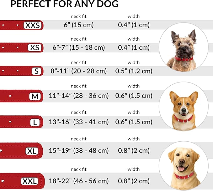 CollarDirect Rolled Leather Dog Collar, Soft Padded Round Puppy Collar, Handmade Genuine Leather Collar Dog Small Large Cat Collars 13 Colors (8-11 Inch, Red Textured)