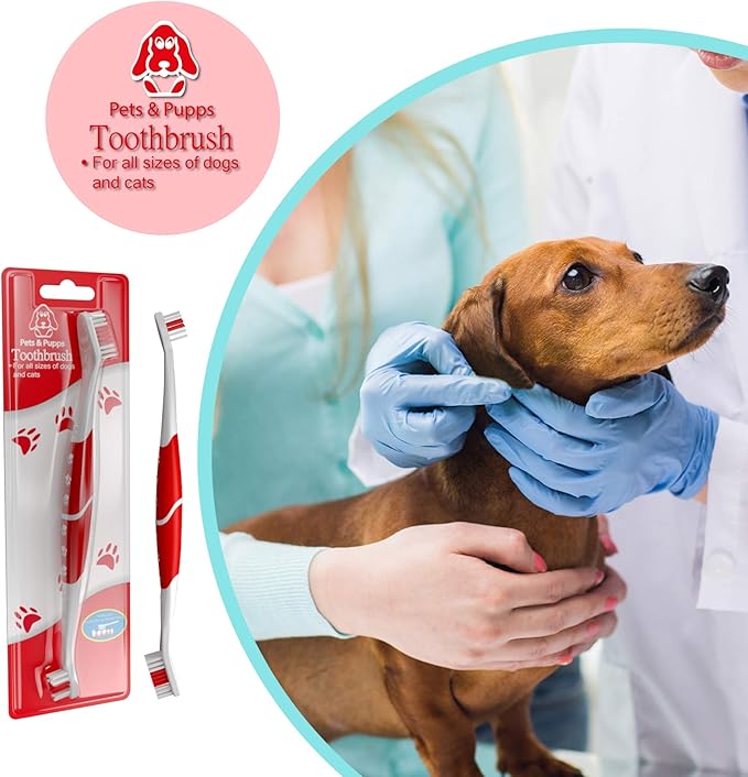 Pet Toothbrush for Dogs, Cats with Soft Bristles - Easy Teeth Cleaning & Dental Care, Non Slip Dual Head Dog Toothbrush for Medium & Large Pets, Toothpaste Not Included, Pack of 4(Multi)