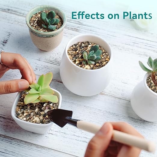 2.5 lbs Small Rocks for Plants, 1/5 Inch Gravel for Plants Drainage, Decorative Potting Pebbles for Indoor Plants, Vases, Bamboo, Succulent, Terrarium, Crafts, Cactus