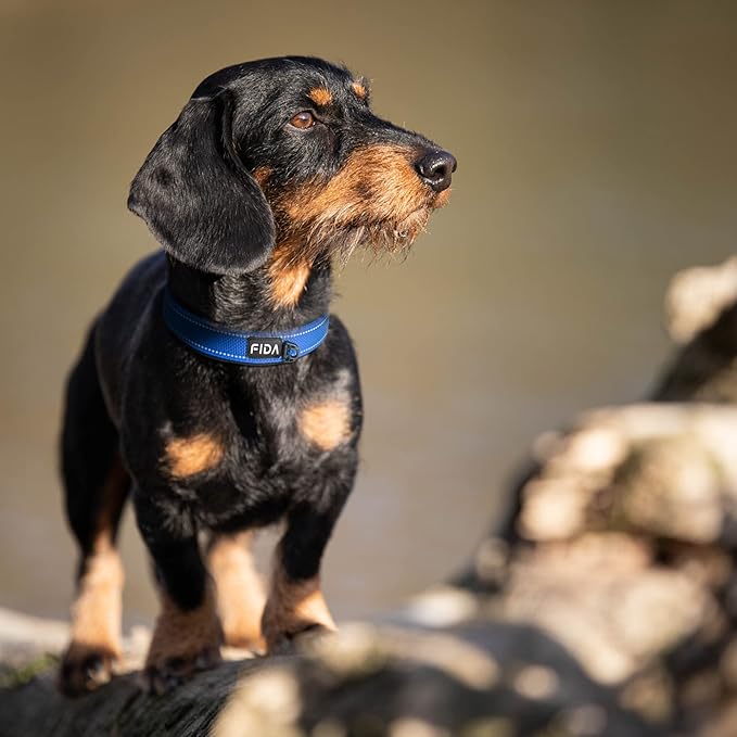 Fida Heavy Duty Dog Collar, Ultra Comfortable Soft Neoprene Padded, Adjustable Reflective Nylon Pet Collar with Durable Metal Belt Buckle for Medium Breeds (M, Blue)