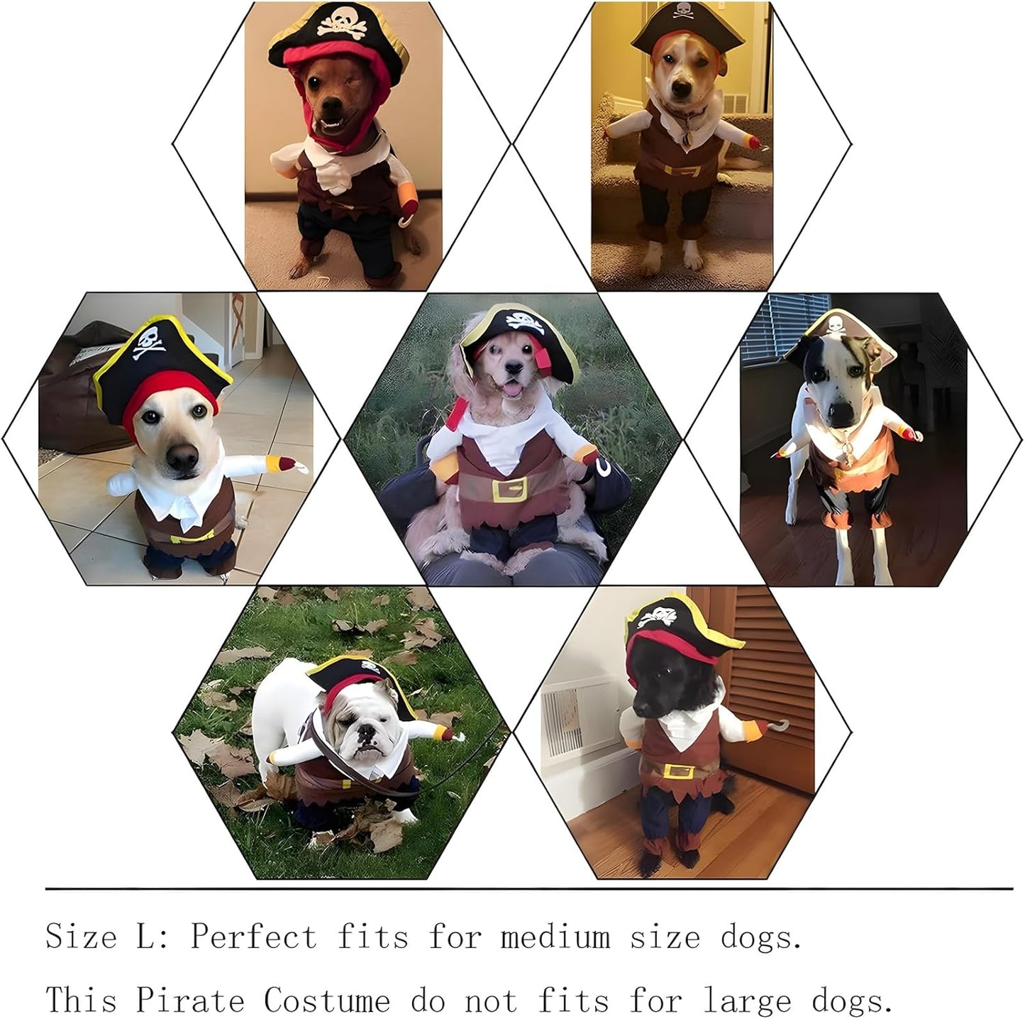 Pet Dog Costume Pirates of The Caribbean Style