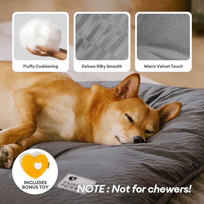 FUNNY FUZZY 30x20 Washable Dog Bed Crate Mat, 2 in1 Pet Pillow Sleeping Bed, Fluffy Deluxe Kennel Mattress for Medium Dog and Cat,Charcoal Grey,M