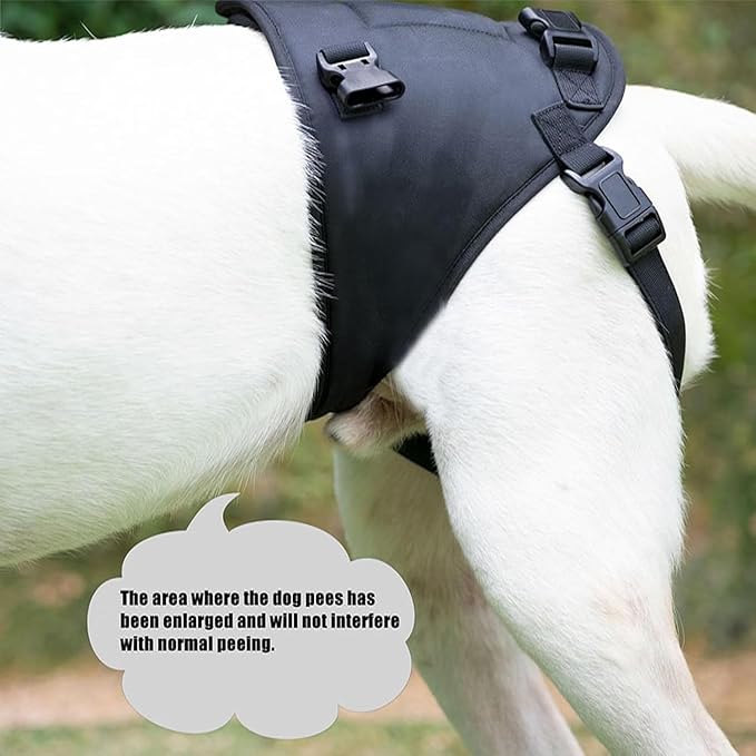 Dog Lift Harness for Dogs with Disabled Arthritis and Weak Back Legs, humanized Design with Comfortable Materials, Adjustable Back Legs and Straps, Suitable for Helping Dogs to Recover and Walk. (S)