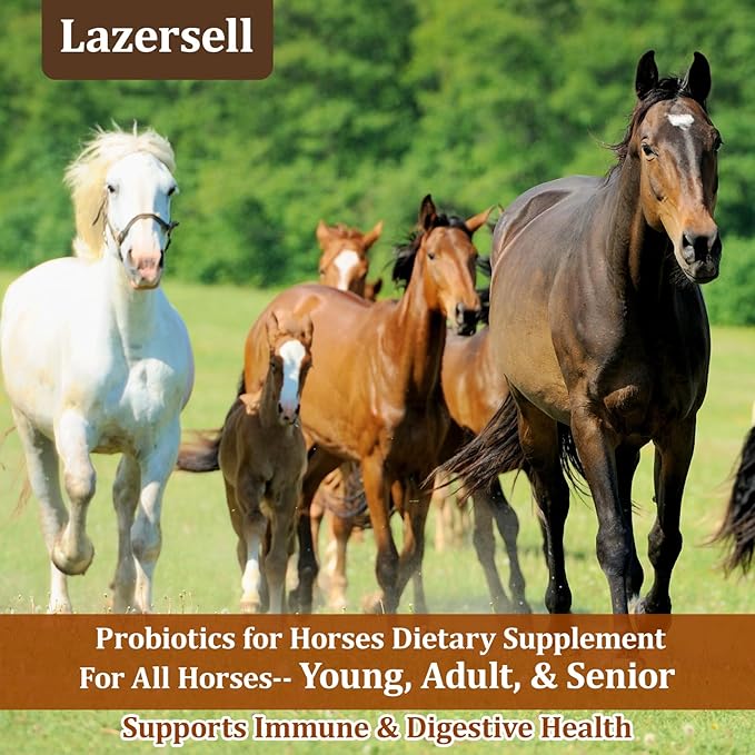 Probiotics for Horses Dietary Supplement, All-Natural Digestive System Maintenance Formula Equine Digestion Support Horse Health Supplements (90 Days)