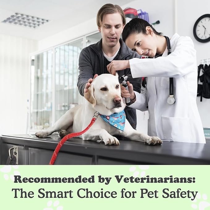 Canine Hitch- Secure Dog Leash Parking Mounted Indoor – Outdoor Wall Hook - Tie Out Stainless Steel Practical Lead Management for Home & Business, Slim Compact 2 Pack