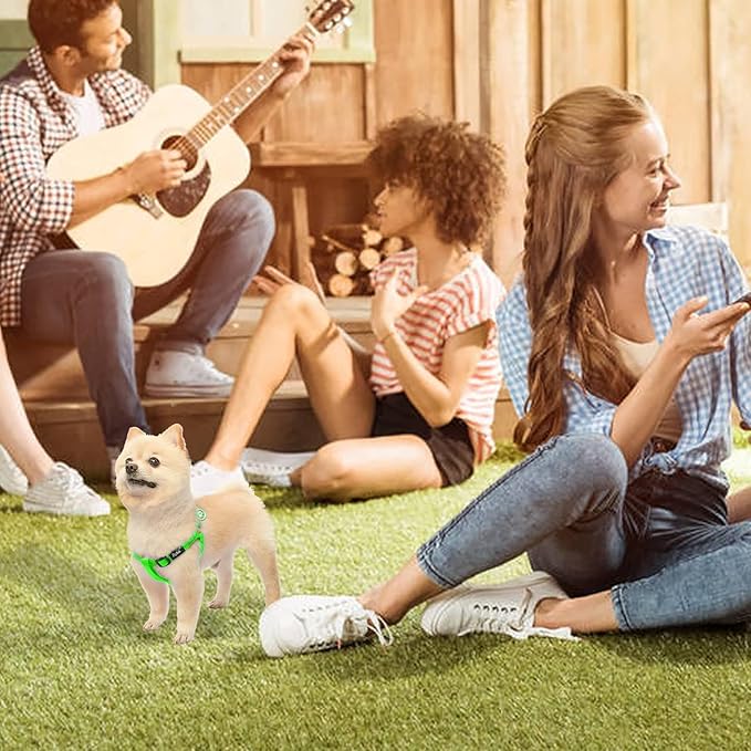 PUPTECK No Pull Dog Harness Soft Adjustable Basic Nylon Step in Puppy Vest Outdoor Walking with ID Tag, Green,S