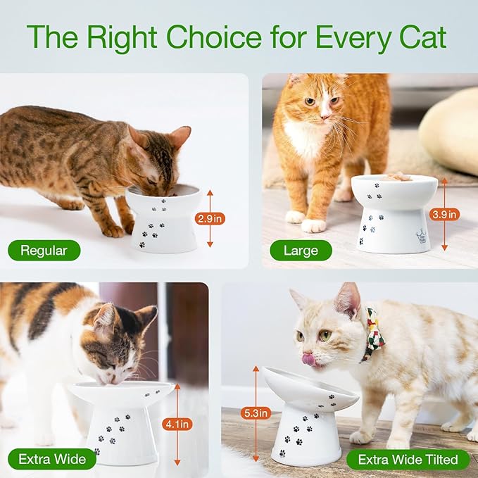 Necoichi Extra Wide Raised Cat Food Bowl, Elevated, Prevent Neck & Whisker Fatigue, Dishwasher and Microwave Safe, No.1 Seller in Japan! (Cat, Extra Wide)