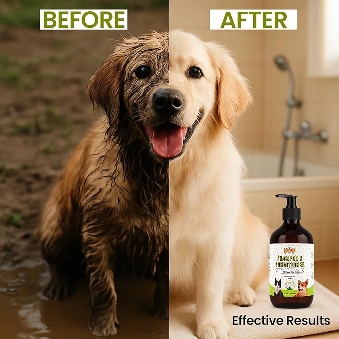 POM Pets 2-in-1 Organic Dog Shampoo & Conditioner – Itchy Skin Relief, Dog Deshedding, Detangles Fur, Cat Shampoo, Paw Cleaner for Dogs, Natural Coat Defense Formula