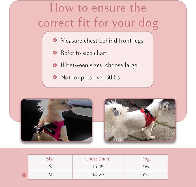 Comfort fit Step-in Dog & Puppy Harness - Comfortable All Weather Dog Vest Harness: Adjustable, Soft Padded, Easy to Put-on for Small, Medium-Sized Dogs.