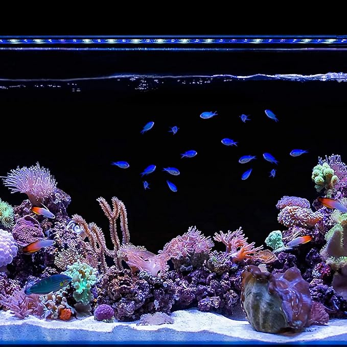 CURRENT USA 72" Inch Orbit Marine IC LOOP LED Saltwater Reef Marine Aquarium Light with Bluetooth App Control | Wireless Lighting & eFlux Wave Pump Control for Fish Tank (4208)