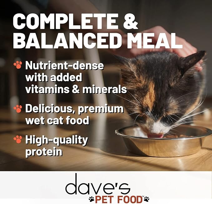 Dave's Pet Food Grain Free Wet Cat Food (Chicken & Turkey Saucey Pate), Naturally Healthy Canned Cat Food, Added Vitamins & Minerals, Wheat Free, 5.5 oz (24 Pack)
