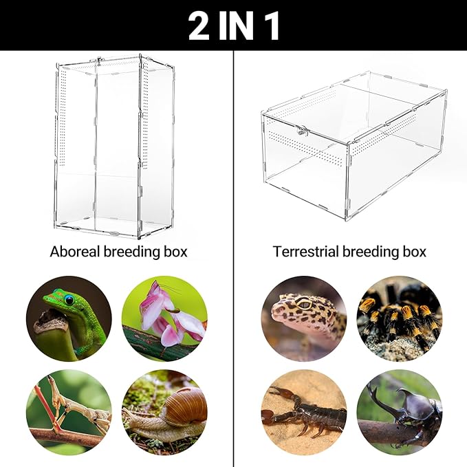 REPTI ZOO Large Tarantula Enclosure Spider Enclosure 14" X 8" X 6", 2 in 1 Acrylic Aboreal Breeding Box for Mantis Snail or Terrestrial Breeding Box for Cricket Jumping Spiders Tarantula