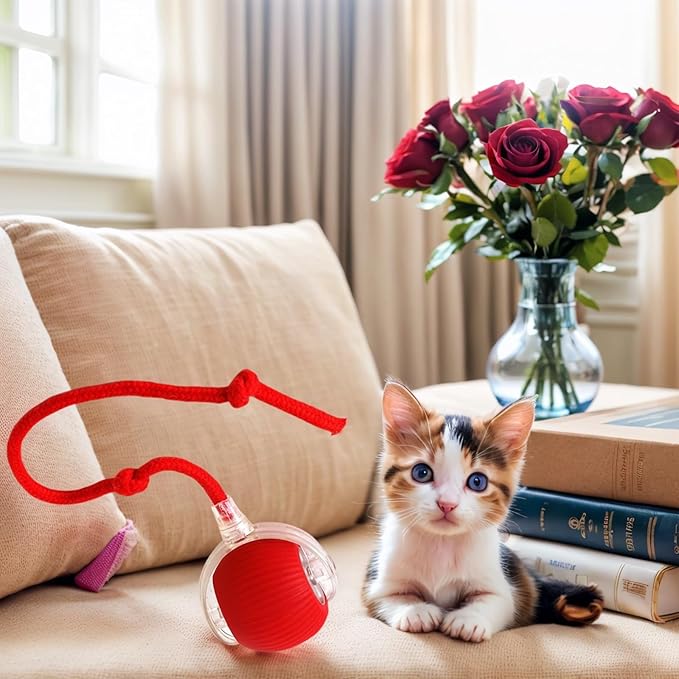 Electric Cat Toy - Automatic Rolling cat Toy with Motion sensors, Designed for Indoor Cats, Suitable for Solo Play (USB Rechargeable) (Greener)