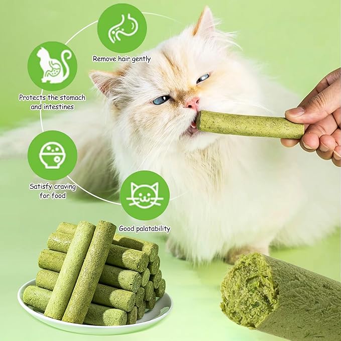 HavenJanny 50g Cat Grass Teething Stick, Freezed Drying Cat Grass Sticks Snacks for Cats, Edible Cat Treats for Teeth Cleaning and Hairball Removal