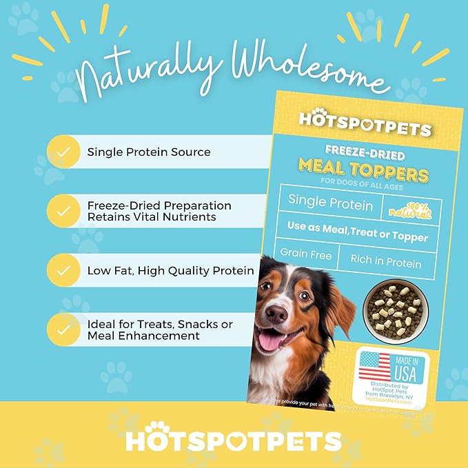 hotspot pets Freeze Dried Raw Beef Meal Toppers for Dogs 1LB Bag (500+pcs) Made in USA - Single Protein, All Natural, Grain-Free - Perfect for Training, Topper or Snack