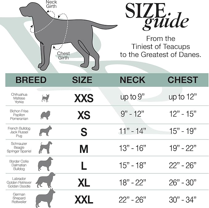 Rocky – The Orginal Lightweight Hooded TEE 100% Organic Cotton Dog Hoodie Pet Coat Sweater for Small Dogs, Available in Multiple Colors **Small (10-25 lbs)**