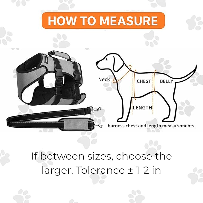 Ayquez Dog Lift Harness with Storage and Transport Bag, Dog Harness with Handle for Lifting & Hip dysplasia, arnés para Perros pequeños, pechera para Perros (Gray, M)