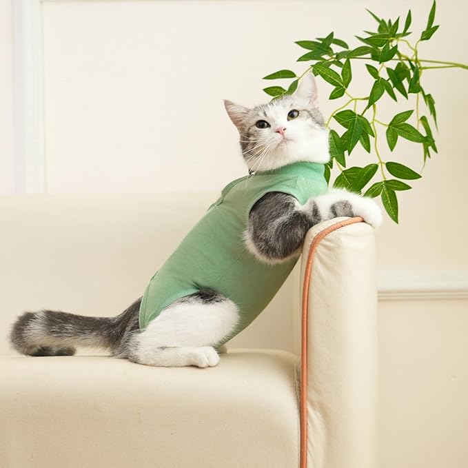 Cat Surgery Recovery Suit Professional for Surgical Abdominal Wound Or Skin Diseases E-Collar Alternative for Cats After Surgery Wear Pajama Suit (Green, Small)