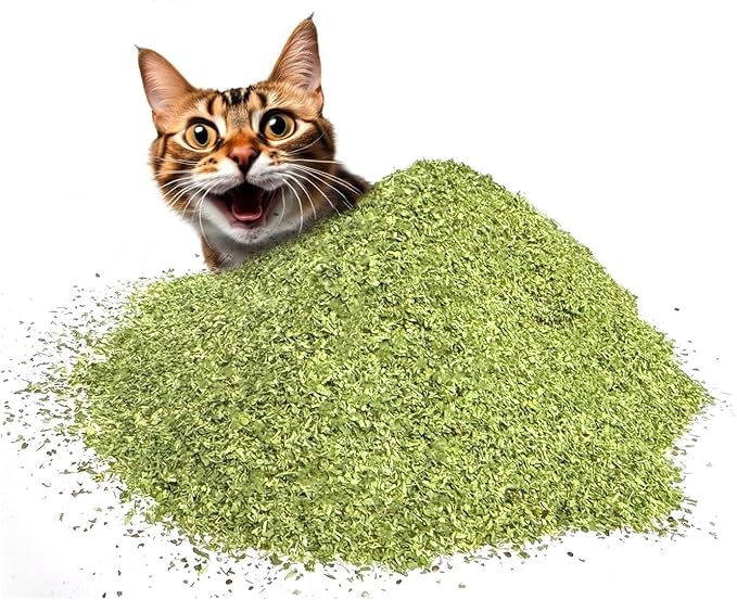 Fiend Catnip + Silvervine for Cats & Kittens Safety-Cut Premium Fine Cat Nip Blend with Vegan Silvervine + Sticker – Ultra Potent, North American – 1 Cup (34.5g) Go Ahead, Create a Monster!