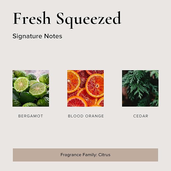 Fresh Squeezed Car Air Freshener - 4 Pack