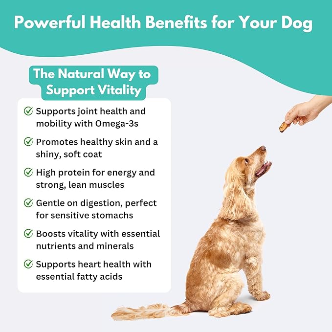 ALFIE'S TREATOS Salmon Skin Treats for Dogs & Cats (10.6 oz, 4x2.65 oz), Bulk Bundle, Air-Dried Fish Skin Dog Treats, Omega-3 Food Topper & Training, Single Ingredient, Freeze-Dried Alternative