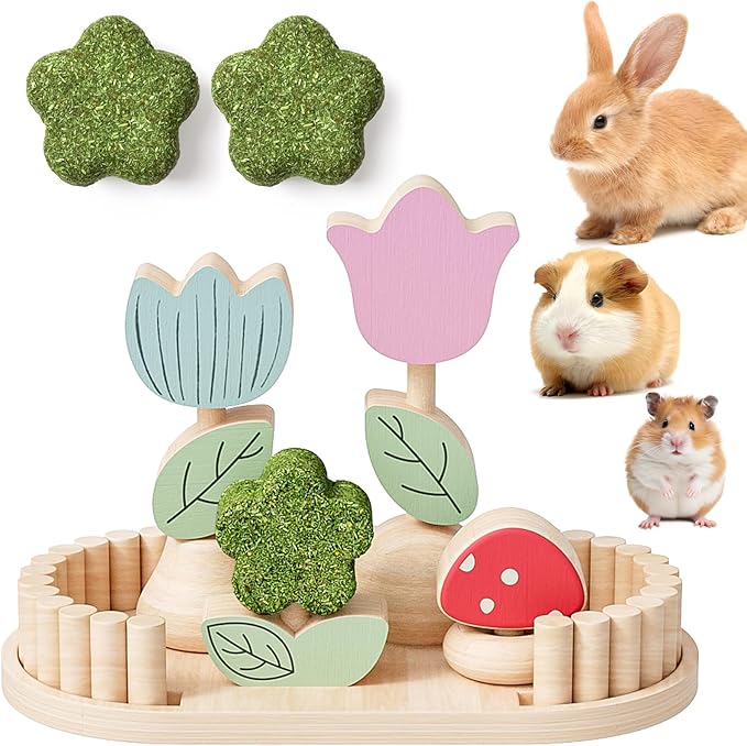 mini&moe Hamster Chew Toys for Teeth - Guinea Pig Chews Enrichment Toys Natural Edible Rabbit Chew Toy for Bunny, Rat, Chinchilla, Gerbils and Others Small Animal