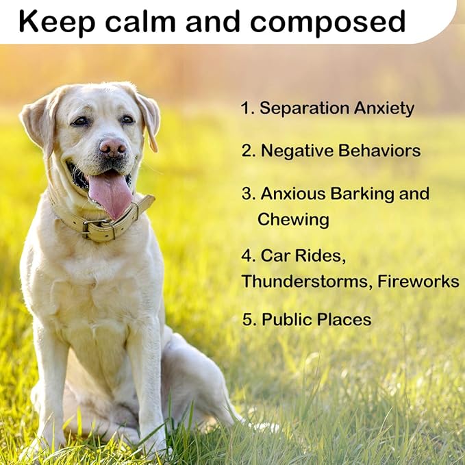 Puppy Heartbeat Toy Heartbeat Stuffed Animal for Dogs, Dog Heartbeat Toy for Puppy Sleep Aid Crate Training Calming, Puppy Comfort Toy for Dog Anxiety Relief