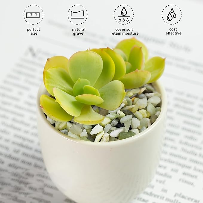 5 lbs Jade Pebbles for Indoor Plants,1/4 inch Polished Gravel Rocks for Plants, Succulents, Cactus, Vases, Terrarium and Outdoor Gardening