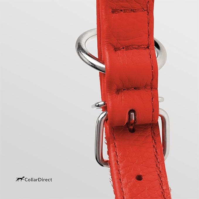CollarDirect Rolled Leather Dog Collar, Soft Padded Round Puppy Collar, Handmade Genuine Leather Collar Dog Small Large Cat Collars 13 Colors (8-11 Inch, Red Textured)