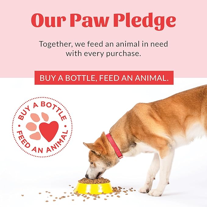 SKOUT'S HONOR Probiotic Pet Deodorizer Spray- Hydrating Daily-Use with Avocado Oil & Omega-3s, Microbiome Friendly Certiified, Paraben & Sulfate-Free, 97% Natural, 8oz, Dog of The Woods