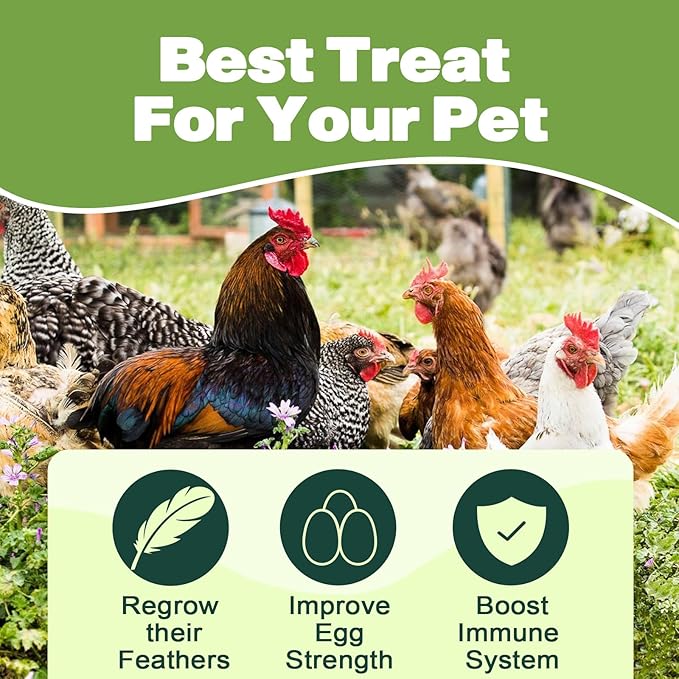 22LB Dried Black Soldier Fly Larvae, 2 Pack of 11 LBS, 86X Calcium Than Dried Mealworms, High Protein Non-GMO Organic Chicken Feed