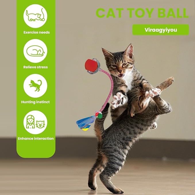 Cat Toy, Interactive Cat Toy, Cat Toys for Indoor Cats with 2 Tails, 3 Modes Rechargeable Cat Enrichment Toys for Small/Medium/Large Cats to Keep Them Busy