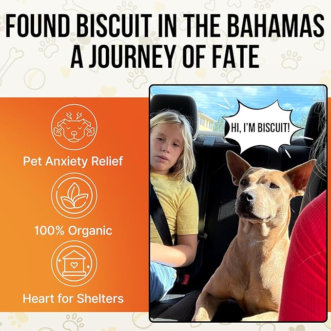 Hemp Oil for Dogs and Cats - 100% Organic Cold Pressed Oil - Made in The USA (30 mL)