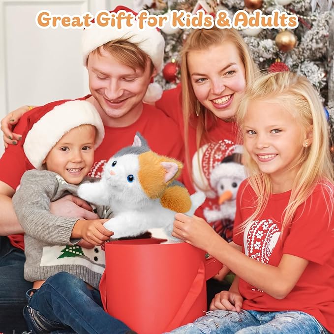 19 inch 3 lbs Cat Weighted Stuffed Animals, Realistic Weighted Cat Stuffed Animal, Sensory Comfort Plush Throw Pillow, Soft Kawaii Kitty Plush Toy Gift for Adults Kids Youth