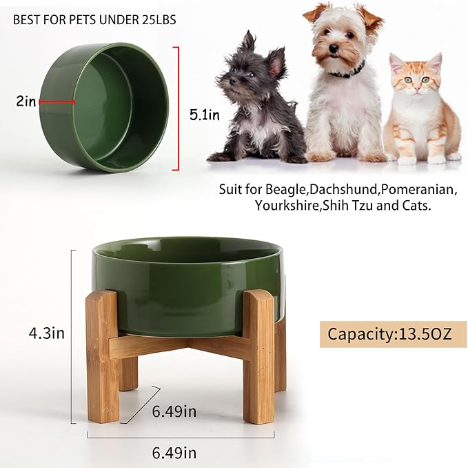 Petygooing Rust Green Elevated/Raised Ceramic Dog Bowl for Small Breeds, Dog Food Water Dish with Stand,Pet Feeding Bowl with Anti Slip Rubber for Cats and Small Dogs Puppy 13.5 OZ (5.1In / 1.7 Cups)