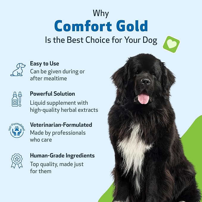 Pet Wellbeing Comfort Gold for Dogs - Supports Canine Physical Comfort, Healthy Circulation, Corydalis, Turmeric - Veterinarian-Formulated Herbal Supplement 4 oz (118 ml)