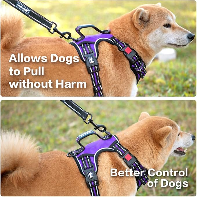 PoyPet No Pull Dog Harness, No Choke Front Clip Reflective Dog Vest with Soft Padded Vertical Handle, 3 Leash Attachments for Small Medium Large Dogs (Purple,S)
