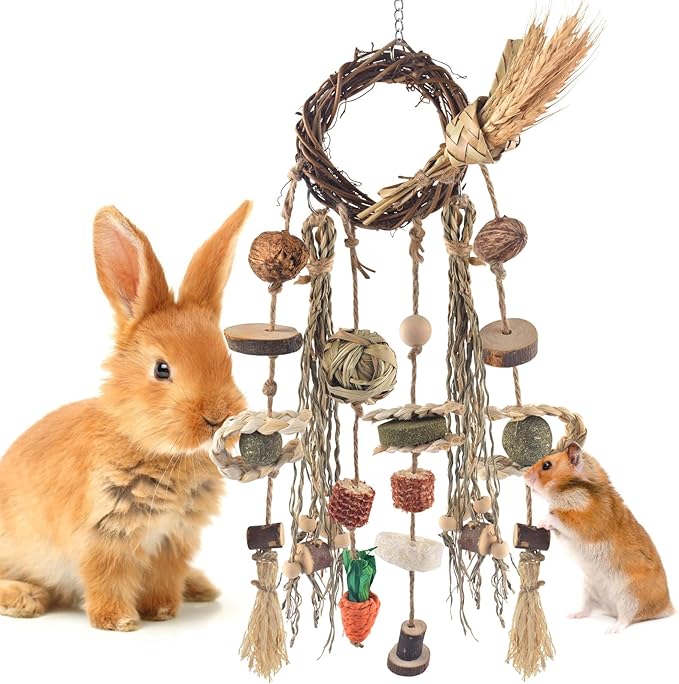 Bissap Bunny Chew Toy, Rabbits Cage Hanging Chew Toys and Treats Rattan Ring with Snacks Water Grass Wooden Block Carrot for Guinea Pigs Chinchillas Hamsters Rats and Other Small Pets Teeth Grinding