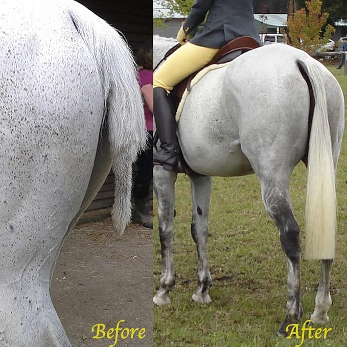 Horse Tail Extensions with Braided Horsehair Loop, Blunt Cut Bottom, 28-30 inches Long and 3/8 lb Weight