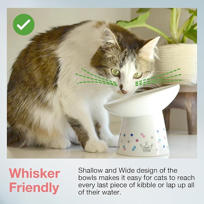 Necoichi Extra Wide Raised Cat Food Bowl, Elevated, Prevent Neck & Whisker Fatigue, Dishwasher and Microwave Safe, No.1 Seller in Japan! (Colorful Dots Limited Edition, Extra Wide Tilted)