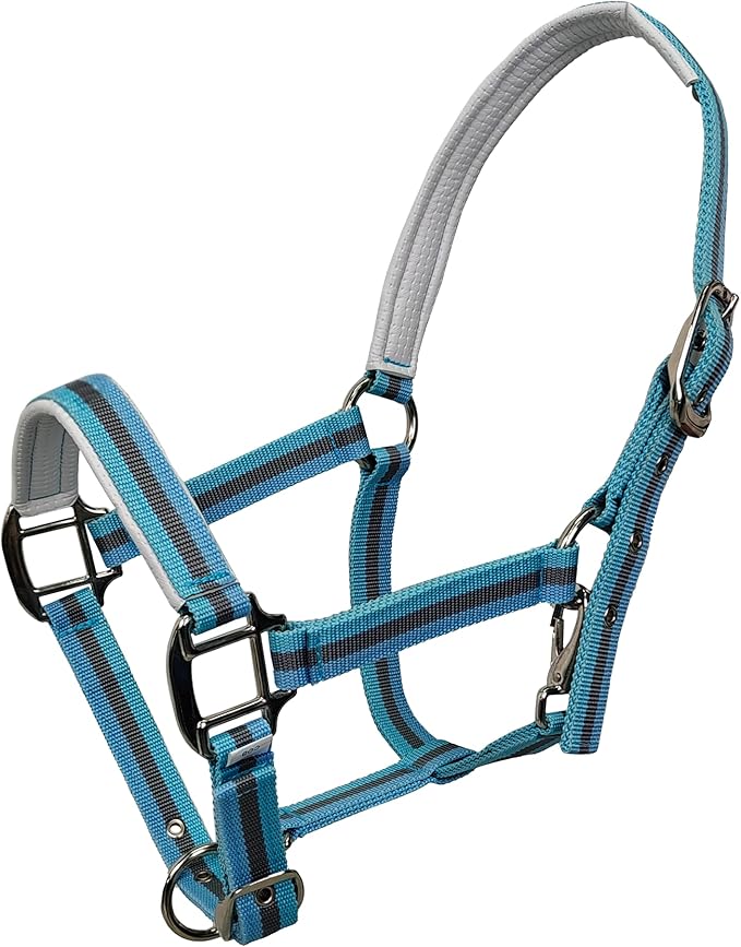 JWODVNTH Adjustable Horse Halter with PP Webbing, Durable Horse Halters with Zinc Alloy Hardware, Horses Training Equipment to Prevent Friction for Training, Competitions ＆ Daily