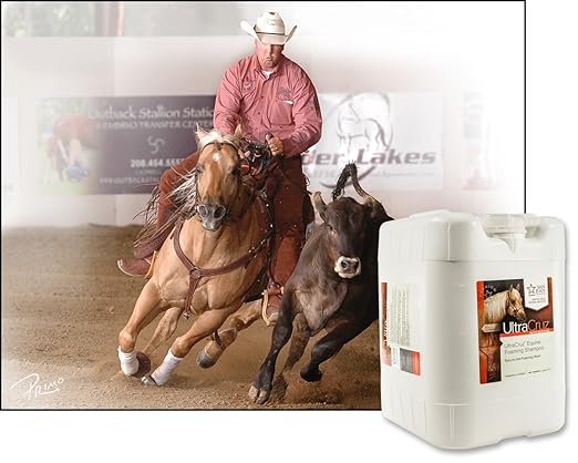 UltraCruz® Equine Foaming Shampoo, 5 Gallon