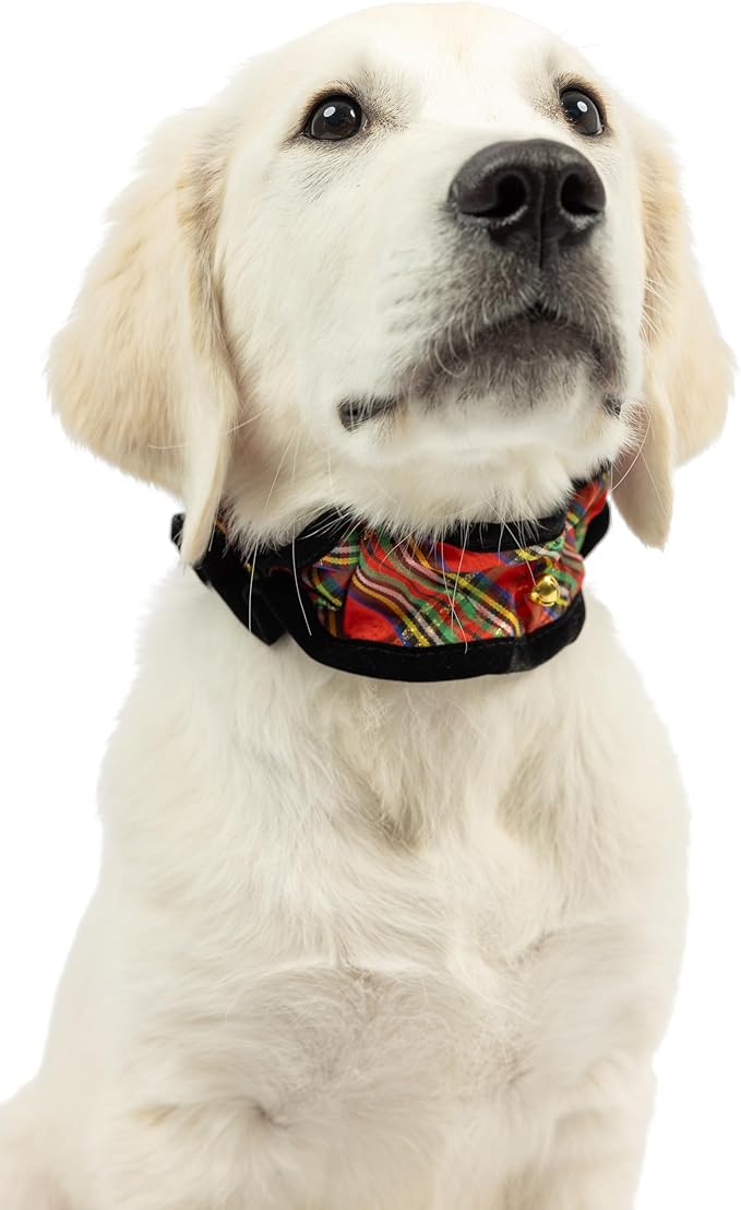 Huxley & Kent Ruff Pet Scrunchy | Shiny Christmas Plaid (Extra-Small) | Festive Christmas/Holiday Neckwear for Dogs/Cats | Fun Stretchable Costume Accessory | Soft Collar with Bells
